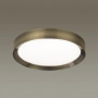 Потолочный светодиодный светильник Odeon Light Walli Lunor 4948/45CL
